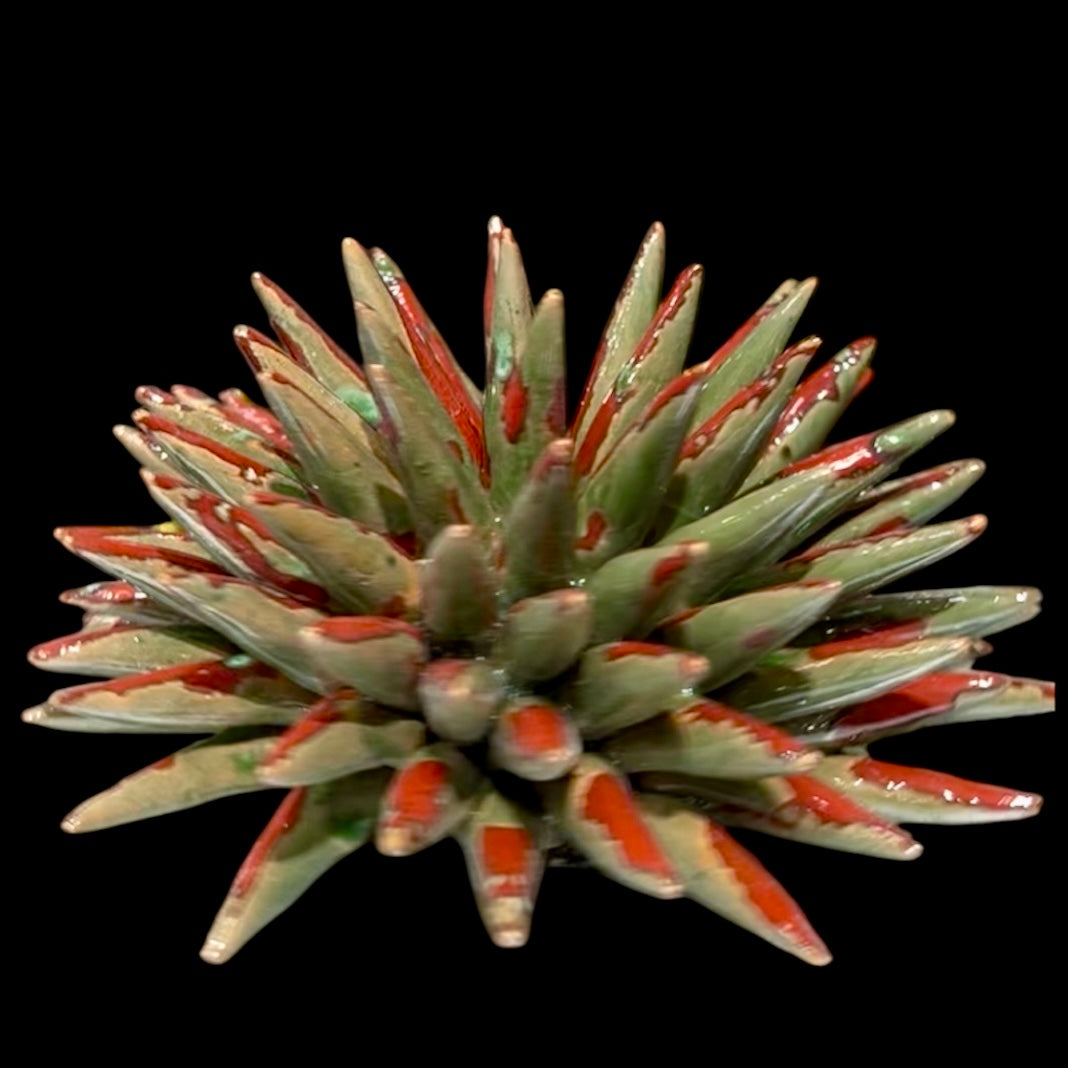 RICCIO