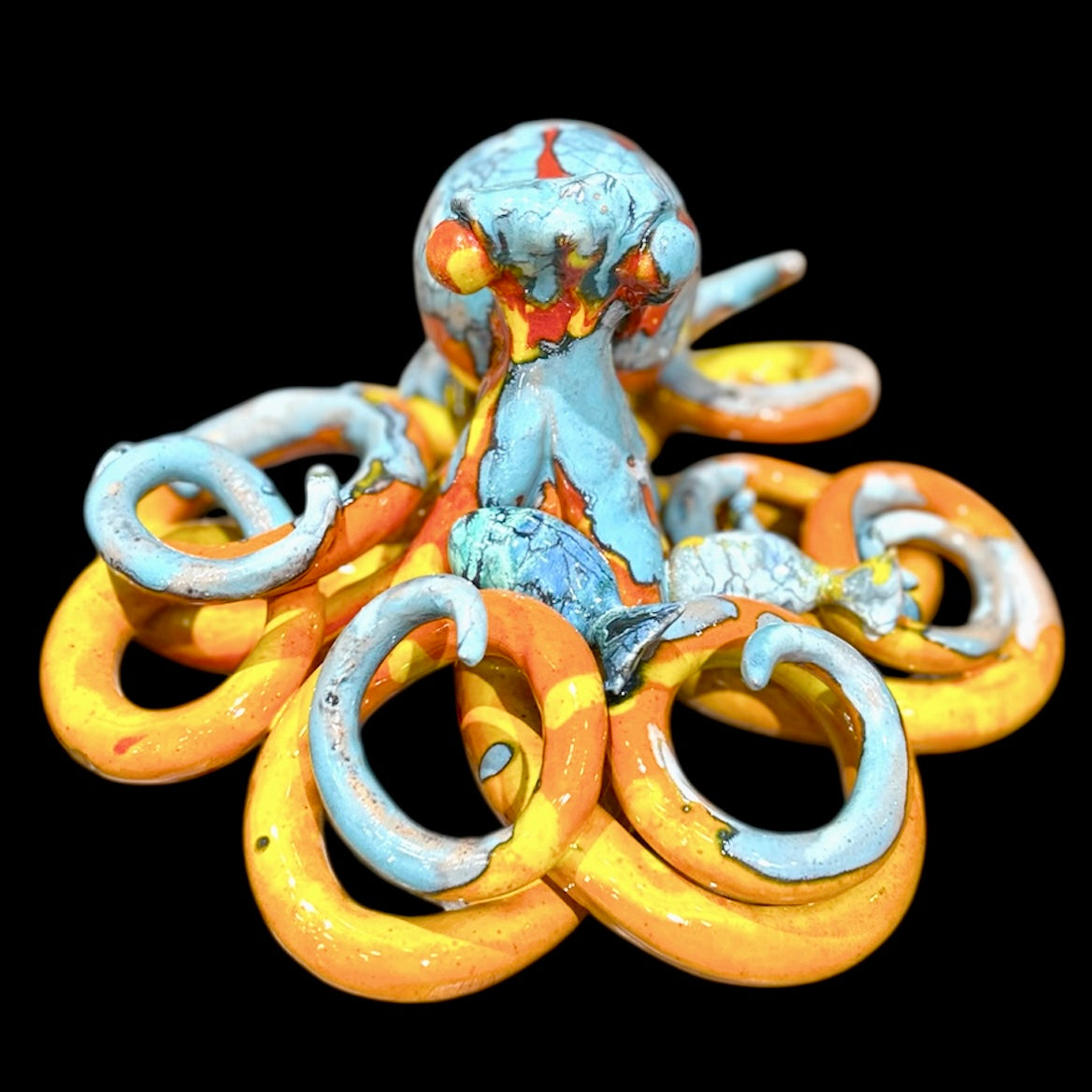 POLPO TENTACOLO
