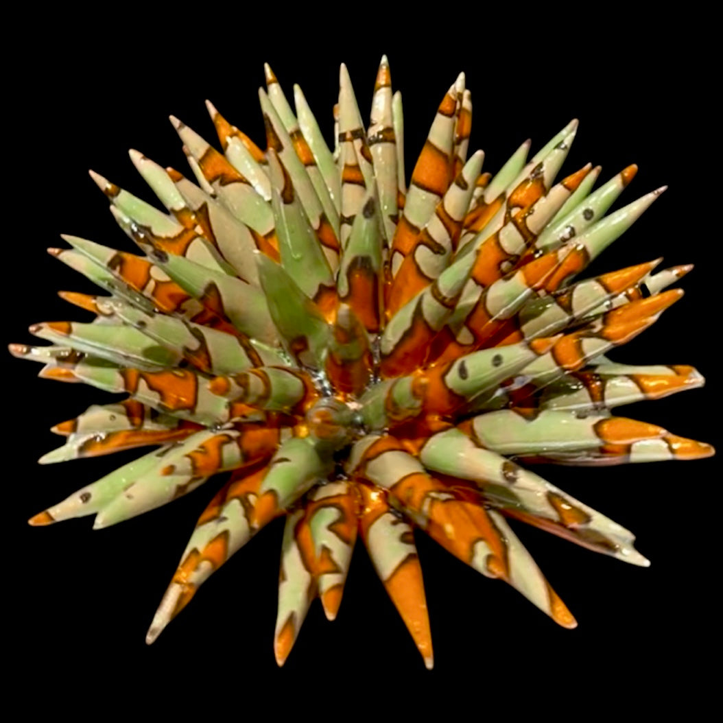 RICCIO
